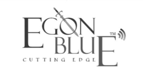 EGON BLUE Campus Placement 2024