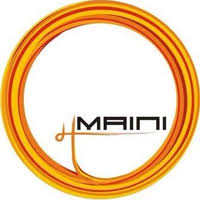 Maini Precision Products Ltd Walk In Interview 2024